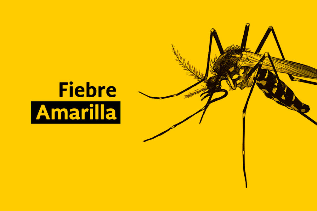 amarilla
