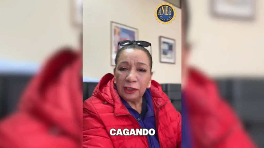 Ivonne Rozas, Vicepresidenta ANEF