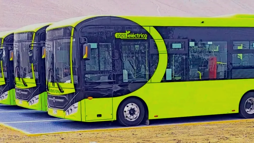 Buses Eléctricos