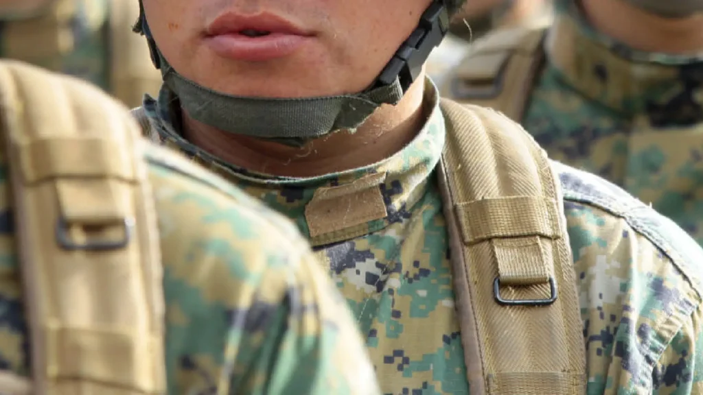 Ejercito de Chile