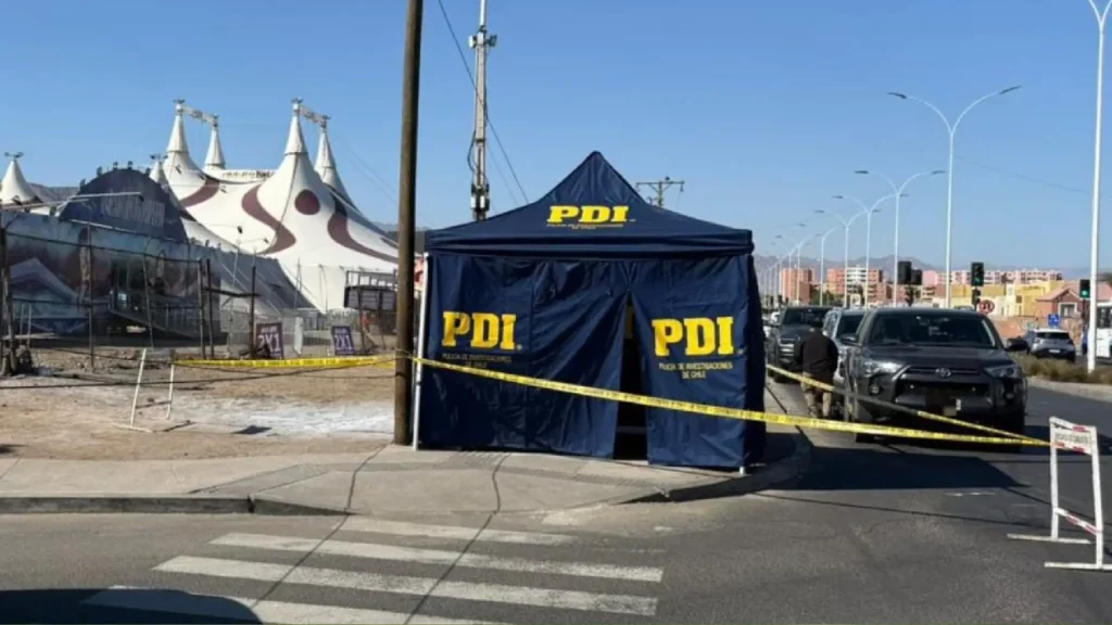 Adulta Mayor Junto A Su Perro Fallecen Tras Recibir Descarga Eléctrica En Antofagasta