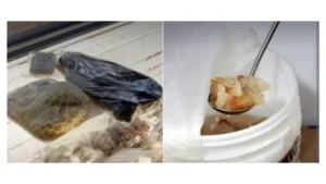 Clausuran Supermercado En Santiago