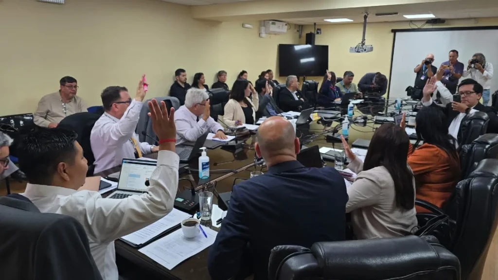 Core Aprueba Presupuesto Luminarias Renato Rocca