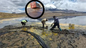 PDI Investiga Daño Ambiental Lago Chungará