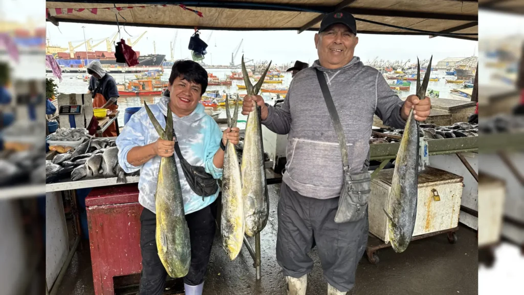Temporada De La Palometa