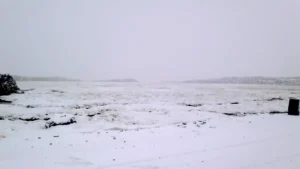 Cayó Nieve En General Lagos
