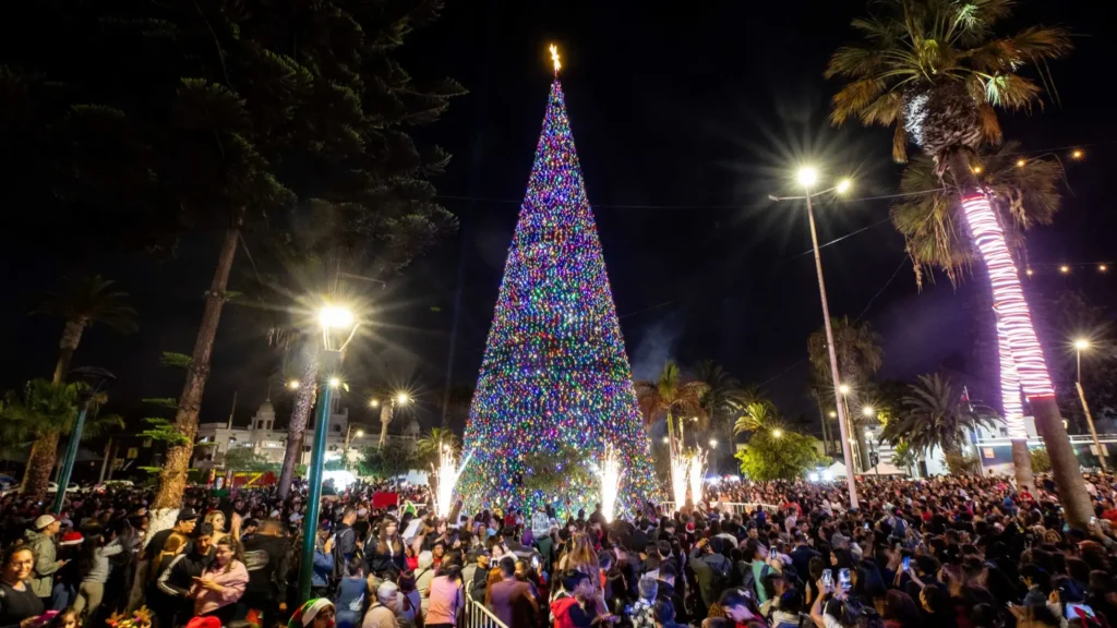 Encendido Del Árbol