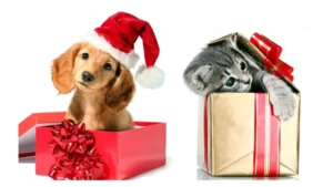 Las Mascotas No Son Regalos