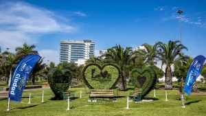 Con Sello Ariqueño_ El Arte Del Topiario