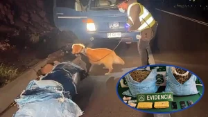 Incautación Más de 23 Kgs Droga