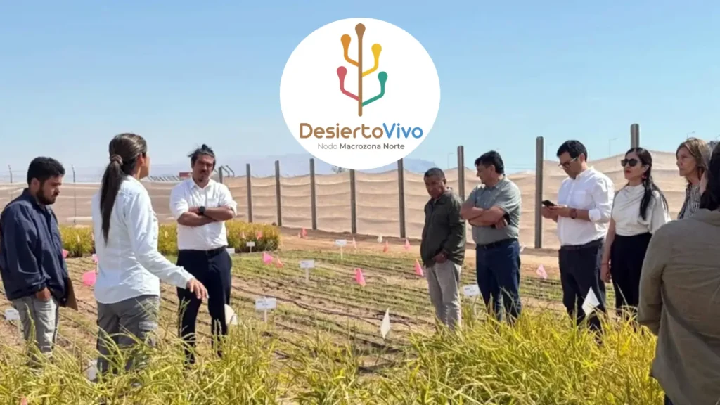 Nodo Desierto Vivo