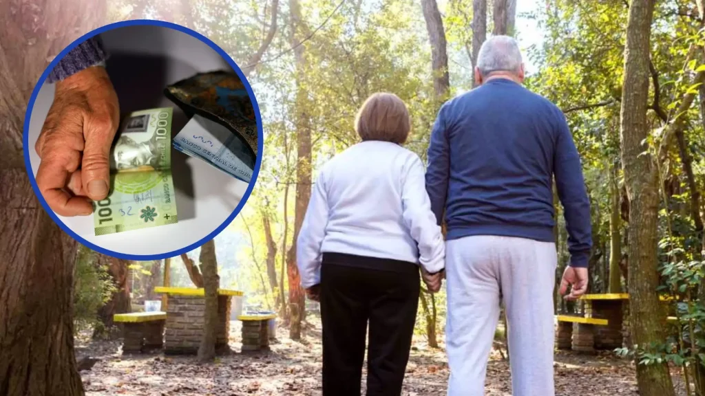 Pensionados Reportan Pérdida Errónea De La PGU