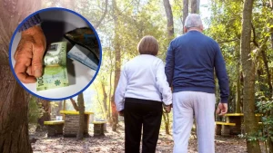 Pensionados Reportan Pérdida Errónea De La PGU