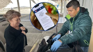 SAG Llama A Completar La Declaración