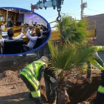 Concejo Municipal Aprueba Concesión Por Cuatro Años Para Mantener Más De 965 Mil M² De Áreas Verdes En Arica