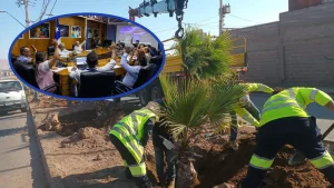 Áreas Verdes En Arica