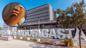 Brote De Sarna Noruega