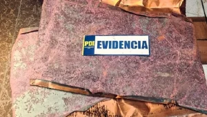 Cobre Iglesia San Marcos