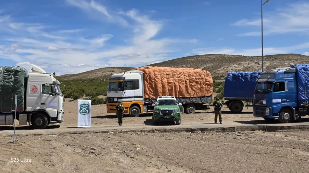 Desbaratan Traslado Ilegal