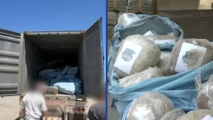 PDI Decomisa Más De 1coma7 Toneladas De Cannabis