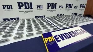 Transportaban Más De 200 Ovoides