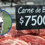 Inusual Boom En La Patagonia: Carne De Burro Se Agota En Tiempo Récord Y Abre Debate En Argentina