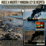 MEJILLONES: La Bahía Donde el Progreso Huele a Muerte Y Ninguna Ley se Respeta