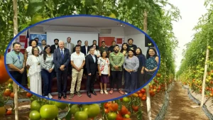 Productores De Tomate De Arica