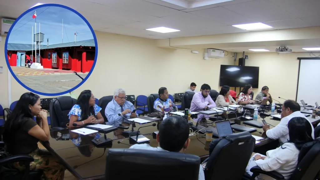 Proyecto De Electrificación En General Lagos