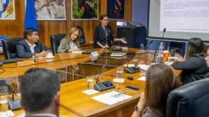 Arica Impulsa Plan Urgente
