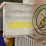 Arica Retomará Liberación Masiva De Moscas Estériles Para Fortalecer El Control De La Mosca De La Fruta
