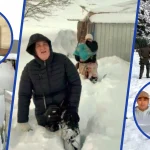 Gobierno Evalúa Acciones Legales Contra Tres Personas Rescatadas En El Cajón Del Maipo Por Millonario Operativo