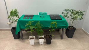 Tres Detenidos Tras Operativo