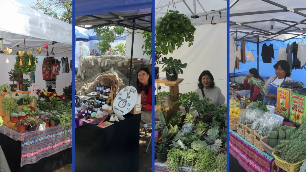 Festival De Herbolaria Y Medicina Ancestral
