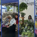 Festival De Herbolaria Y Medicina Ancestral Resalta El Valor De Las Plantas Medicinales De Arica Y Parinacota