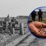 SAG Abre Debate Por Nueva Regulación De Semillas Y Sector Campesino Advierte Riesgos Para El Intercambio Tradicional