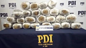 Tráfico De Cannabis
