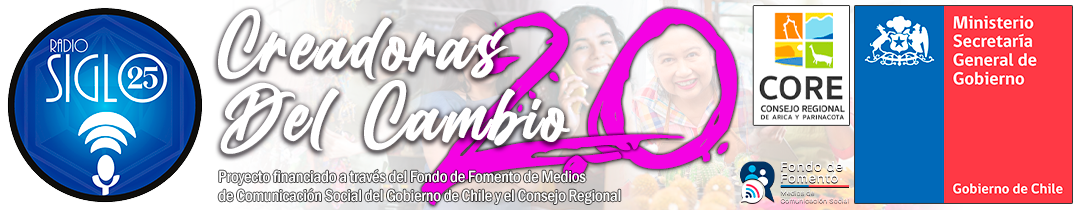 Creadoras Del Cambio 2.0 — Proyecto financiado a través del Fondo de Fomento de Medios de Comunicación Social del Gobierno de Chile y el Consejo Regional