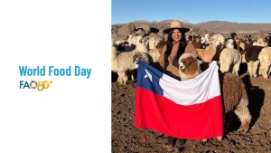 Mujer Aymara De Arica Y Parinacota