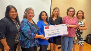 Sernameg Entrega 20M